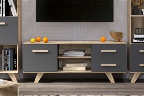 Тумба под ТВ Вега Скандинавия в Асбесте - asbest.ok-mebel.com | фото 7