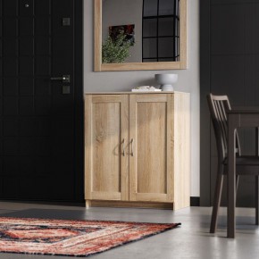 Тумба СИРИУС двухдверная, цвет Дуб Сонома в Асбесте - asbest.ok-mebel.com | фото 4