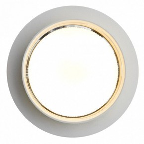 Встраиваемый светильник Feron DL502 51089 в Асбесте - asbest.ok-mebel.com | фото 5