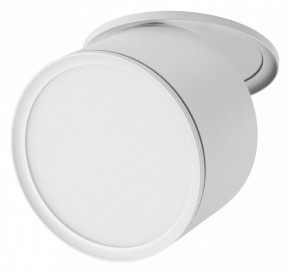 Встраиваемый светильник Lightstar Acuto 215856 в Асбесте - asbest.ok-mebel.com | фото