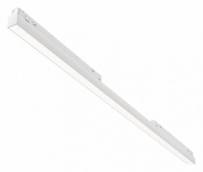 Встраиваемый светильник Maytoni Basis TR030-4-30WTW-DD2-W в Асбесте - asbest.ok-mebel.com | фото
