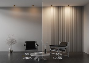 Встраиваемый светильник Maytoni Onda DL024-12W-DTW-BMG в Асбесте - asbest.ok-mebel.com | фото 9